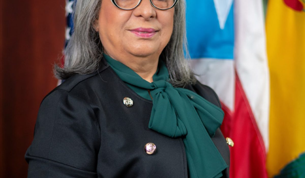 Hon. Margarita Vélez Torres